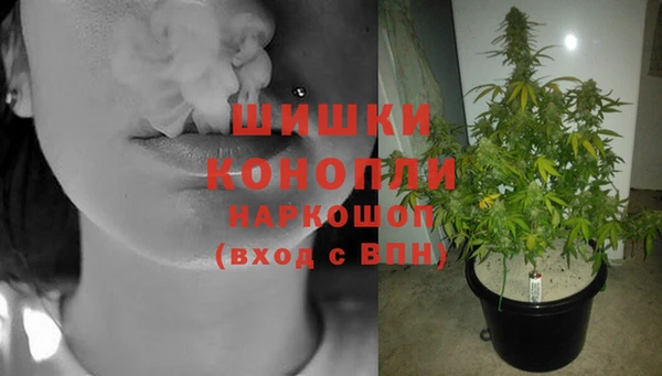 сатива Абаза