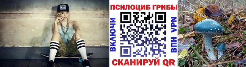 Галлюциногенные грибы MAGIC MUSHROOMS  цены наркотик  Красновишерск 